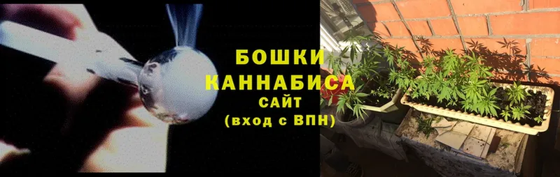 Марихуана SATIVA & INDICA  Камышлов 